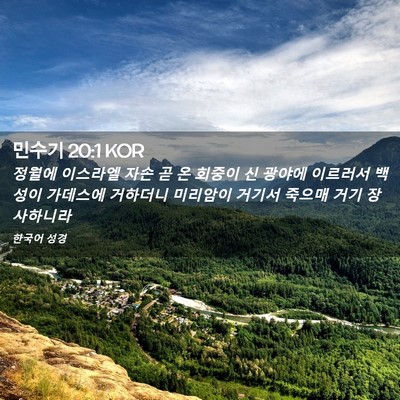 Picture 02 - 민수기 20:1 KOR - 정월에 이스라엘 자손 곧 온 회중이 - Bible Verse Picture