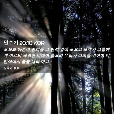 Picture 02 - 민수기 20:10 KOR - 모세와 아론이 총회를 그 반석 앞에 - Bible Verse Picture