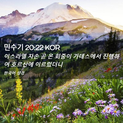 Picture 02 - 민수기 20:22 KOR - 이스라엘 자손 곧 온 회중이 - Bible Verse Picture