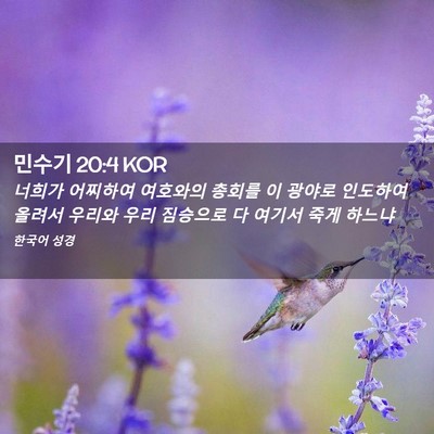 Picture 02 - 민수기 20:4 KOR - 너희가 어찌하여 여호와의 총회를 이 - Bible Verse Picture