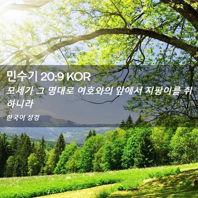 Picture 02 - 민수기 20:9 KOR - 모세가 그 명대로 여호와의 앞에서 - Bible Verse Picture