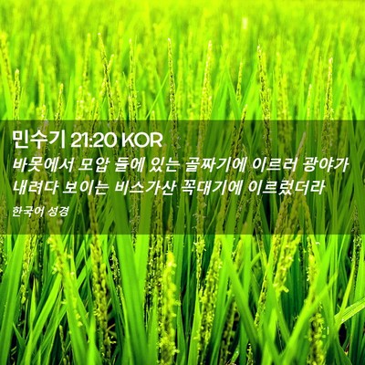 Picture 02 - 민수기 21:20 KOR - 바못에서 모압 들에 있는 골짜기에 - Bible Verse Picture