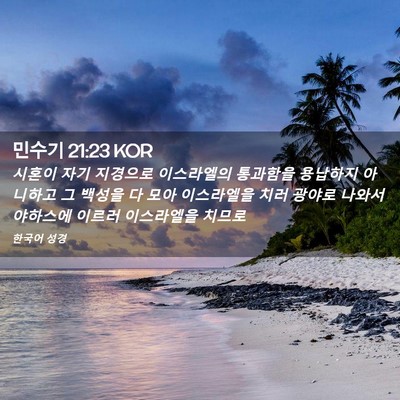 Picture 02 - 민수기 21:23 KOR - 시혼이 자기 지경으로 이스라엘의 - Bible Verse Picture
