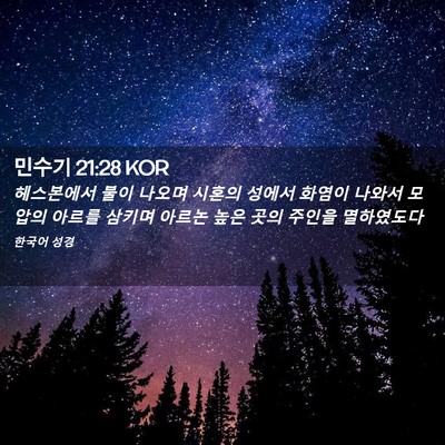 Picture 02 - 민수기 21:28 KOR - 헤스본에서 불이 나오며 시혼의 - Bible Verse Picture