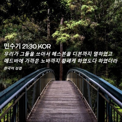 Picture 02 - 민수기 21:30 KOR - 우리가 그들을 쏘아서 헤스본을 - Bible Verse Picture