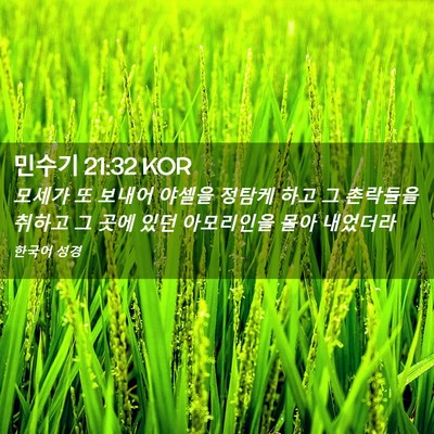 Picture 02 - 민수기 21:32 KOR - 모세가 또 보내어 야셀을 정탐케 - Bible Verse Picture