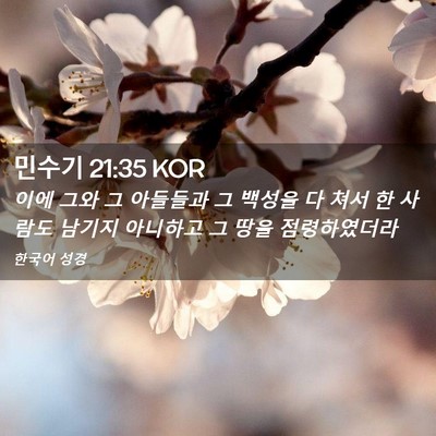 Picture 02 - 민수기 21:35 KOR - 이에 그와 그 아들들과 그 백성을 다 - Bible Verse Picture