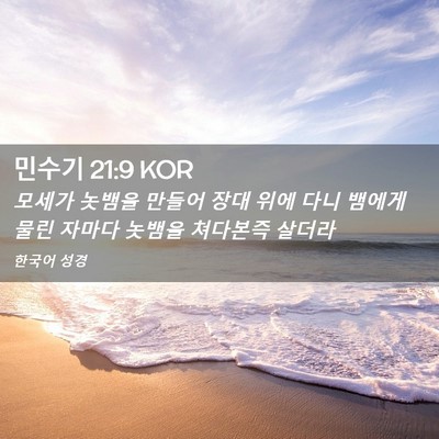 Picture 02 - 민수기 21:9 KOR - 모세가 놋뱀을 만들어 장대 위에 - Bible Verse Picture