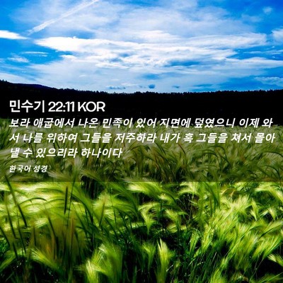 Picture 02 - 민수기 22:11 KOR - 보라 애굽에서 나온 민족이 있어 - Bible Verse Picture