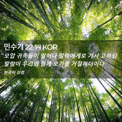 Picture 02 - 민수기 22:14 KOR - 모압 귀족들이 일어나 발락에게로 - Bible Verse Picture