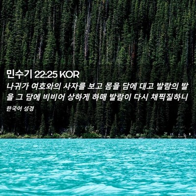 Picture 02 - 민수기 22:25 KOR - 나귀가 여호와의 사자를 보고 몸을 - Bible Verse Picture