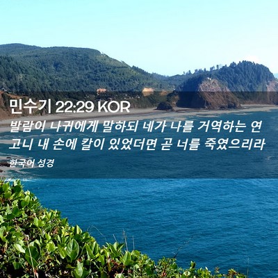 Picture 02 - 민수기 22:29 KOR - 발람이 나귀에게 말하되 네가 나를 - Bible Verse Picture