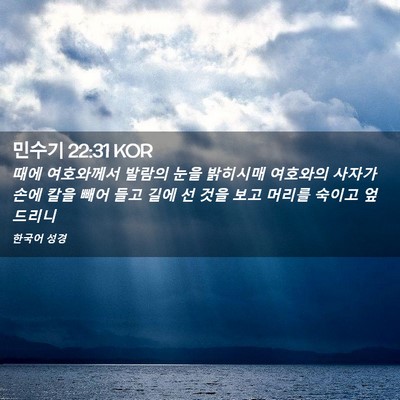 Picture 02 - 민수기 22:31 KOR - 때에 여호와께서 발람의 눈을 - Bible Verse Picture