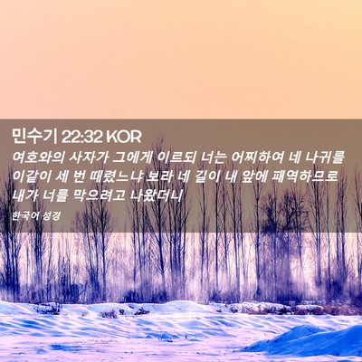 Picture 02 - 민수기 22:32 KOR - 여호와의 사자가 그에게 이르되 너는 - Bible Verse Picture