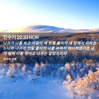Picture 02 - 민수기 22:33 KOR - 나귀가 나를 보고 이같이 세 번을 - Bible Verse Picture
