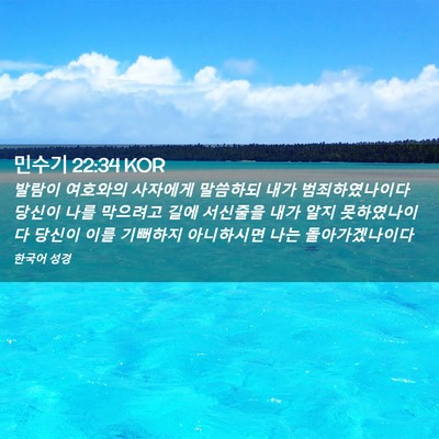 Picture 02 - 민수기 22:34 KOR - 발람이 여호와의 사자에게 말씀하되 - Bible Verse Picture
