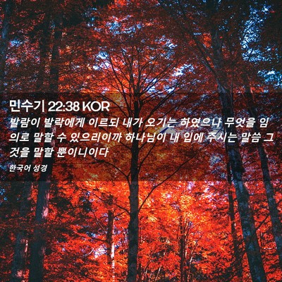 Picture 02 - 민수기 22:38 KOR - 발람이 발락에게 이르되 내가 오기는 - Bible Verse Picture