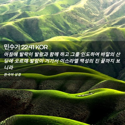 Picture 02 - 민수기 22:41 KOR - 아침에 발락이 발람과 함께 하고 - Bible Verse Picture