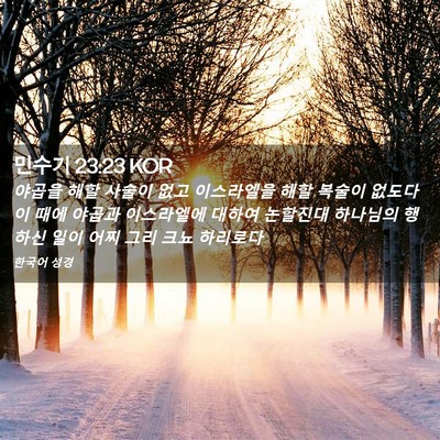 Picture 02 - 민수기 23:23 KOR - 야곱을 해할 사술이 없고 이스라엘을 - Bible Verse Picture