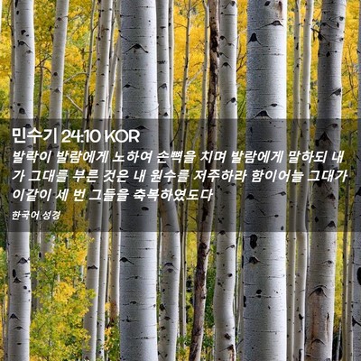 Picture 02 - 민수기 24:10 KOR - 발락이 발람에게 노하여 손뼉을 치며 - Bible Verse Picture