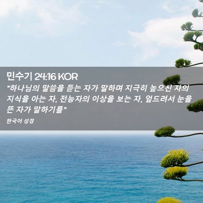 Picture 02 - 민수기 24:16 KOR - 