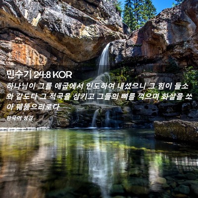 Picture 02 - 민수기 24:8 KOR - 하나님이 그를 애굽에서 인도하여 - Bible Verse Picture