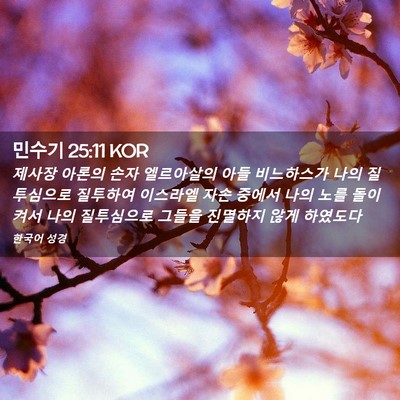 Picture 02 - 민수기 25:11 KOR - 제사장 아론의 손자 엘르아살의 아들 - Bible Verse Picture