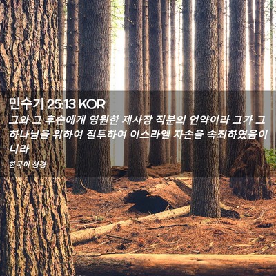 Picture 02 - 민수기 25:13 KOR - 그와 그 후손에게 영원한 제사장 - Bible Verse Picture
