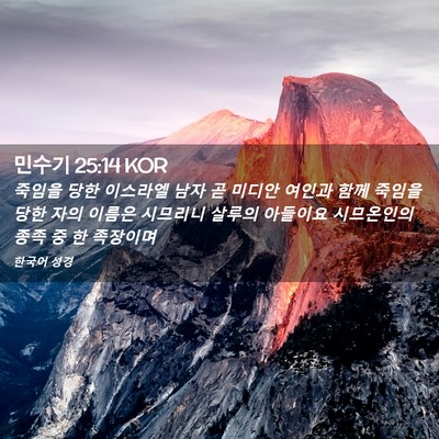 Picture 02 - 민수기 25:14 KOR - 죽임을 당한 이스라엘 남자 곧 - Bible Verse Picture