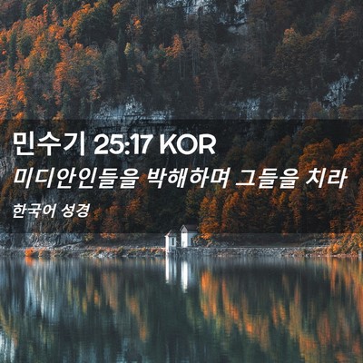 Picture 02 - 민수기 25:17 KOR - 미디안인들을 박해하며 그들을 - Bible Verse Picture