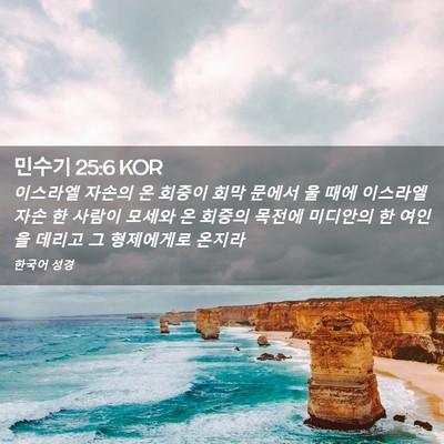 Picture 02 - 민수기 25:6 KOR - 이스라엘 자손의 온 회중이 회막 - Bible Verse Picture