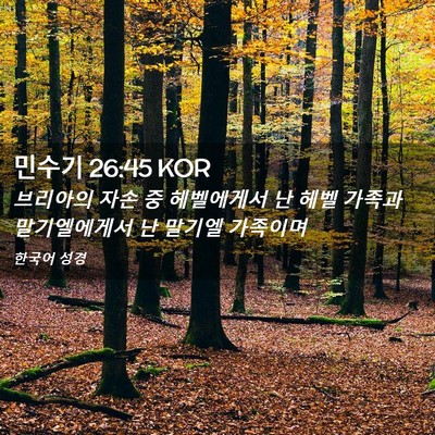 Picture 02 - 민수기 26:45 KOR - 브리아의 자손 중 헤벨에게서 난 - Bible Verse Picture