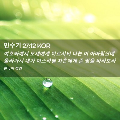 Picture 02 - 민수기 27:12 KOR - 여호와께서 모세에게 이르시되 너는 - Bible Verse Picture