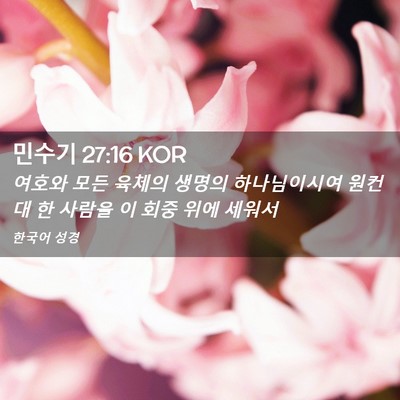 Picture 02 - 민수기 27:16 KOR - 여호와 모든 육체의 생명의 - Bible Verse Picture