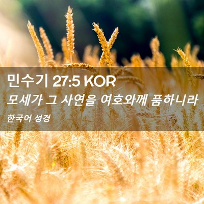 Picture 02 - 민수기 27:5 KOR - 모세가 그 사연을 여호와께 - Bible Verse Picture
