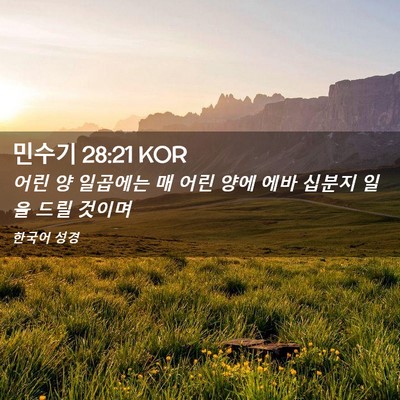 Picture 02 - 민수기 28:21 KOR - 어린 양 일곱에는 매 어린 양에 에바 - Bible Verse Picture