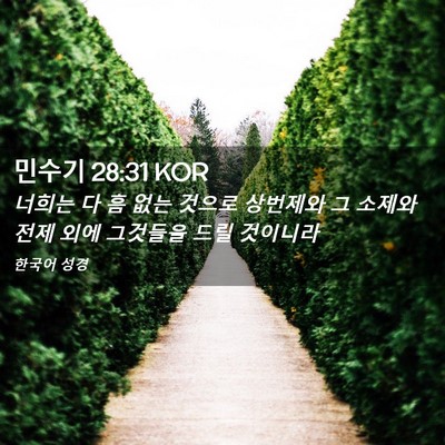 Picture 02 - 민수기 28:31 KOR - 너희는 다 흠 없는 것으로 상번제와 - Bible Verse Picture