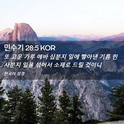 Picture 02 - 민수기 28:5 KOR - 또 고운 가루 에바 십분지 일에 - Bible Verse Picture