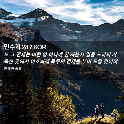 Picture 02 - 민수기 28:7 KOR - 또 그 전제는 어린 양 하나에 힌 - Bible Verse Picture