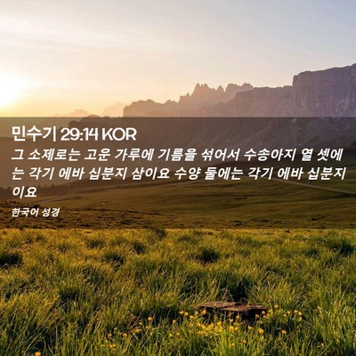 Picture 02 - 민수기 29:14 KOR - 그 소제로는 고운 가루에 기름을 - Bible Verse Picture