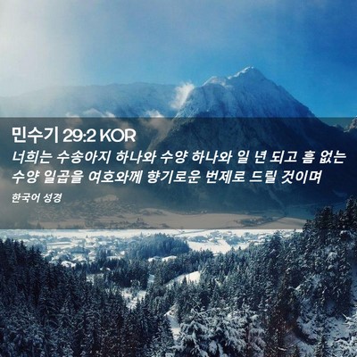 Picture 02 - 민수기 29:2 KOR - 너희는 수송아지 하나와 수양 하나와 - Bible Verse Picture