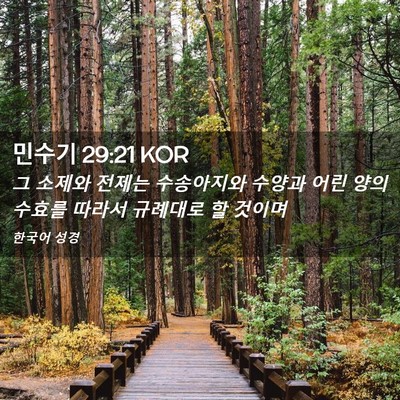 Picture 02 - 민수기 29:21 KOR - 그 소제와 전제는 수송아지와 수양과 - Bible Verse Picture