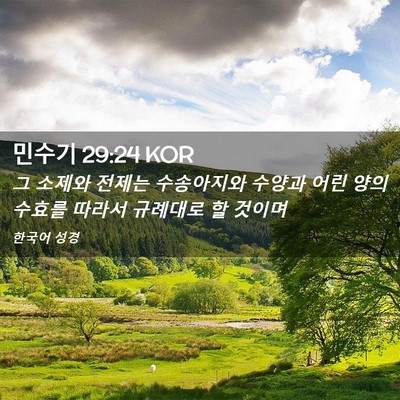 Picture 02 - 민수기 29:24 KOR - 그 소제와 전제는 수송아지와 수양과 - Bible Verse Picture