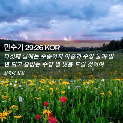 Picture 02 - 민수기 29:26 KOR - 다섯째 날에는 수송아지 아홉과 수양 - Bible Verse Picture