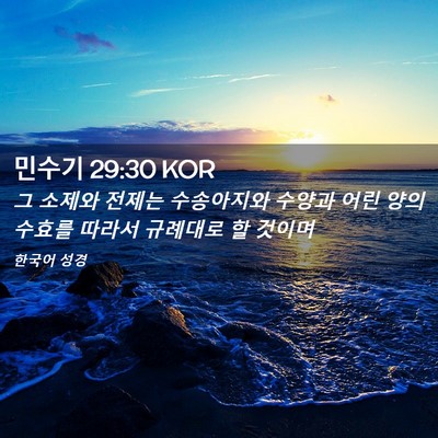 Picture 02 - 민수기 29:30 KOR - 그 소제와 전제는 수송아지와 수양과 - Bible Verse Picture