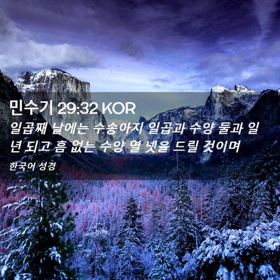 Picture 02 - 민수기 29:32 KOR - 일곱째 날에는 수송아지 일곱과 수양 - Bible Verse Picture