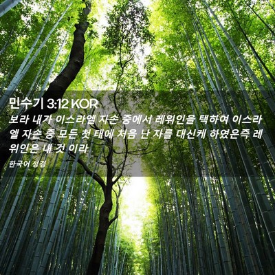 Picture 02 - 민수기 3:12 KOR - 보라 내가 이스라엘 자손 중에서 - Bible Verse Picture