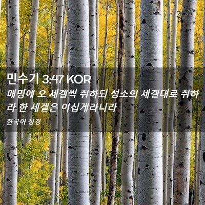 Picture 02 - 민수기 3:47 KOR - 매명에 오 세겔씩 취하되 성소의 - Bible Verse Picture