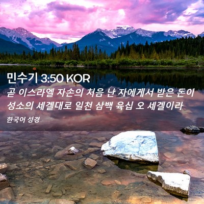 Picture 02 - 민수기 3:50 KOR - 곧 이스라엘 자손의 처음 난 - Bible Verse Picture