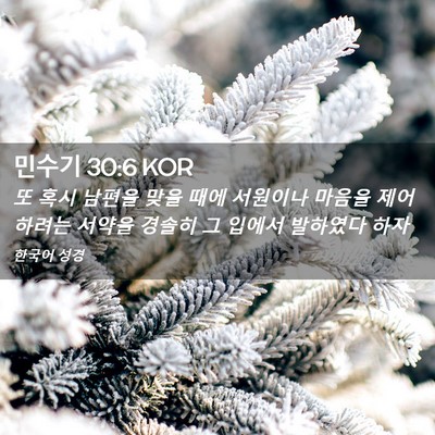 Picture 02 - 민수기 30:6 KOR - 또 혹시 남편을 맞을 때에 서원이나 - Bible Verse Picture